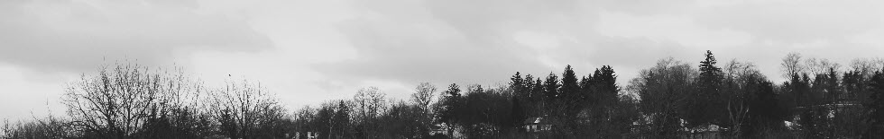 The Fairways